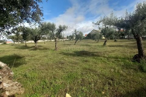 Helårsgrund i Castelo Branco, Castelo Branco, Castelo Branco - € 27.500 | Ref: C0434-00879 - foto 7