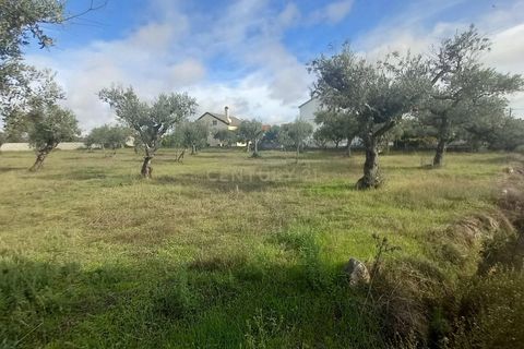 Helårsgrund i Castelo Branco, Castelo Branco, Castelo Branco - € 27.500 | Ref: C0434-00879 - foto 9