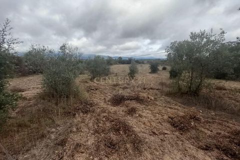 Helårsgrund i Castelo Branco, Castelo Branco, Castelo Branco - € 14.500 | Ref: C0434-00914 - foto 5