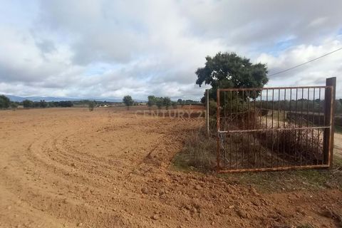Helårsgrund i Castelo Branco, Castelo Branco, Castelo Branco - € 14.500 | Ref: C0434-00958 - foto 2