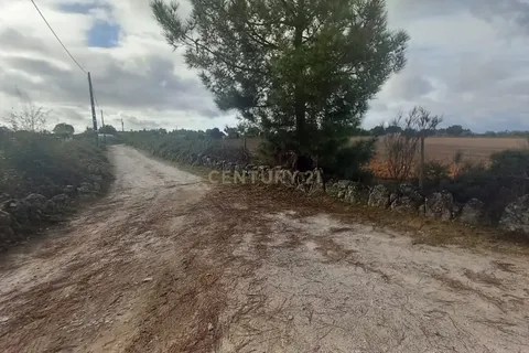 Helårsgrund i Castelo Branco, Castelo Branco, Castelo Branco - € 14.500 | Ref: C0434-00958 - foto 13