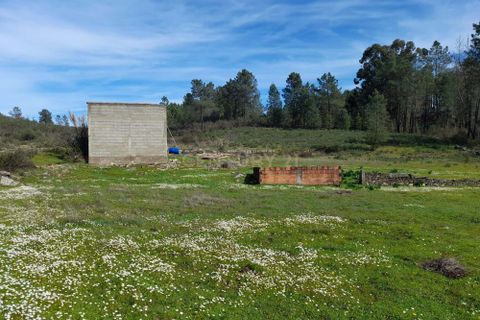 Helårsgrund i Castelo Branco, Castelo Branco, Castelo Branco - € 17.000 | Ref: C0434-00973 - foto 2