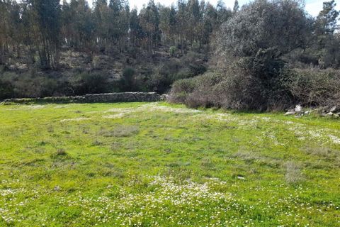 Helårsgrund i Castelo Branco, Castelo Branco, Castelo Branco - € 17.000 | Ref: C0434-00973 - foto 3