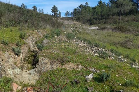 Helårsgrund i Castelo Branco, Castelo Branco, Castelo Branco - € 17.000 | Ref: C0434-00973 - foto 5