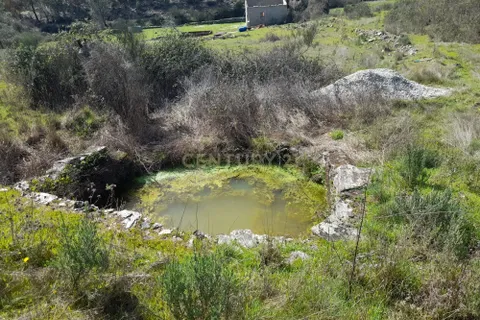 Helårsgrund i Castelo Branco, Castelo Branco, Castelo Branco - € 17.000 | Ref: C0434-00973 - foto 8