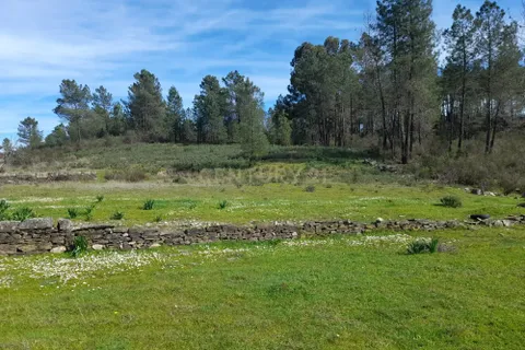 Helårsgrund i Castelo Branco, Castelo Branco, Castelo Branco - € 17.000 | Ref: C0434-00973 - foto 12
