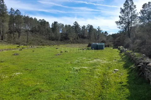 Helårsgrund i Castelo Branco, Castelo Branco, Castelo Branco - € 17.000 | Ref: C0434-00973 - foto 15