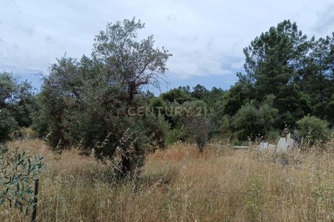 Helårsgrund i Castelo Branco, Castelo Branco, Castelo Branco - € 5.000 | Ref: C0434-01046 - foto 4