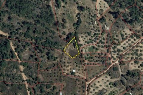 Helårsgrund i Castelo Branco, Castelo Branco, Castelo Branco - € 5.000 | Ref: C0434-01046 - foto 7