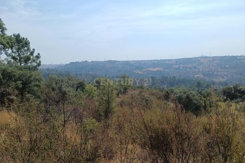 Helårsgrund i Castelo Branco, Castelo Branco, Castelo Branco - € 5.000 | Ref: C0434-01079 - foto 4