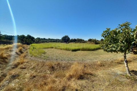Farm hus i Castelo Branco, Castelo Branco, Castelo Branco - € 255.000 | Ref: C0434-01101 - foto 3