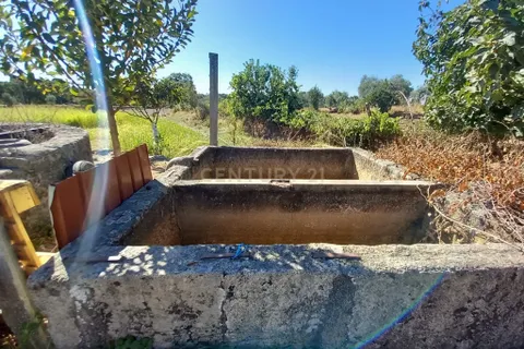 Farm hus i Castelo Branco, Castelo Branco, Castelo Branco - € 255.000 | Ref: C0434-01101 - foto 18