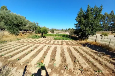 Farm hus i Castelo Branco, Castelo Branco, Castelo Branco - € 255.000 | Ref: C0434-01101 - foto 22