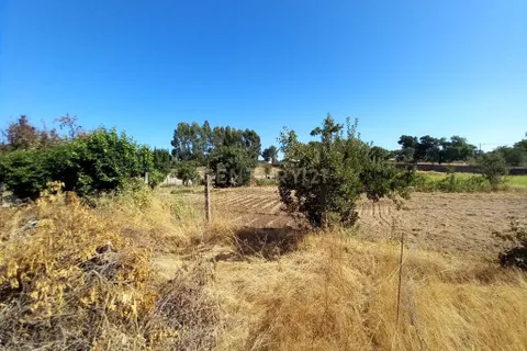 Farm hus i Castelo Branco, Castelo Branco, Castelo Branco - € 255.000 | Ref: C0434-01101 - foto 31