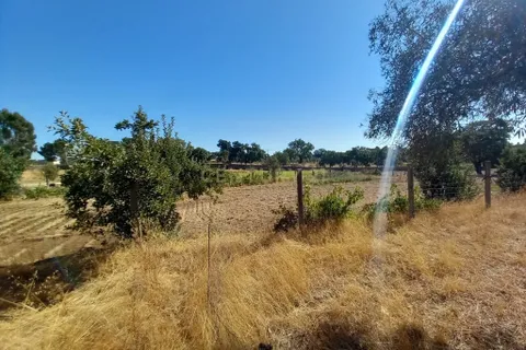 Farm hus i Castelo Branco, Castelo Branco, Castelo Branco - € 255.000 | Ref: C0434-01101 - foto 33