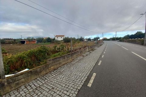 Helårsgrund i Castelo Branco, Castelo Branco, Castelo Branco - € 27.500 | Ref: C0434-01119 - foto 5