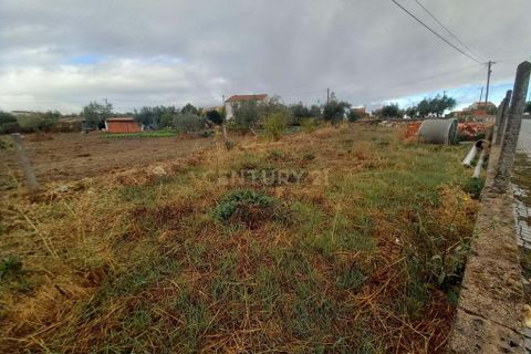 Helårsgrund i Castelo Branco, Castelo Branco, Castelo Branco - € 27.500 | Ref: C0434-01119 - foto 7