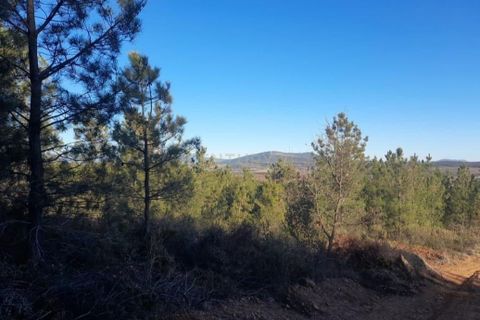 Helårsgrund i Fundao, Castelo Branco, Fundao - € 64.990 | Ref: C0434-01156 - foto 9