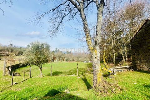 Helårsgrund i Viseu, Viseu, Viseu - € 40.000 | Ref: C0203-02459 - foto 2