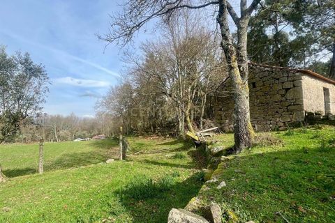 Helårsgrund i Viseu, Viseu, Viseu - € 40.000 | Ref: C0203-02459 - foto 4