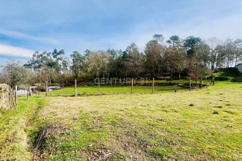 Helårsgrund i Viseu, Viseu, Viseu - € 40.000 | Ref: C0203-02459 - foto 5