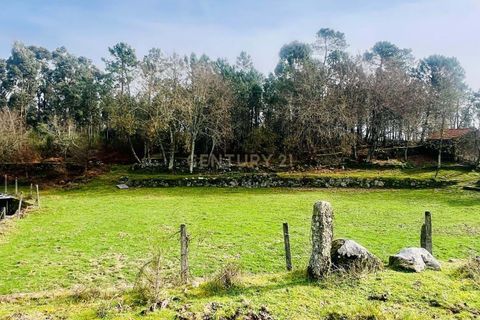 Helårsgrund i Viseu, Viseu, Viseu - € 40.000 | Ref: C0203-02459 - foto 6