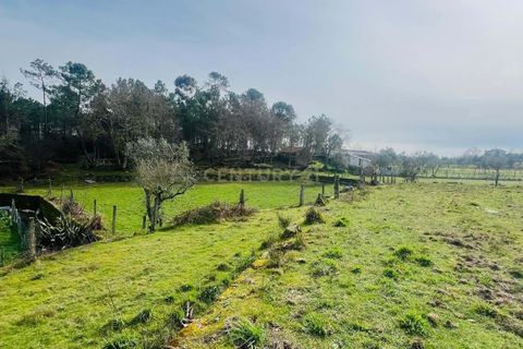 Helårsgrund i Viseu, Viseu, Viseu - € 40.000 | Ref: C0203-02459 - foto 7
