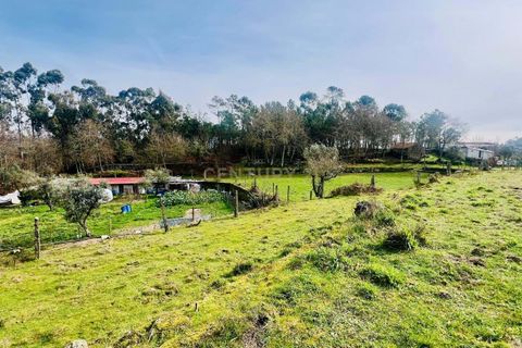 Helårsgrund i Viseu, Viseu, Viseu - € 40.000 | Ref: C0203-02459 - foto 9