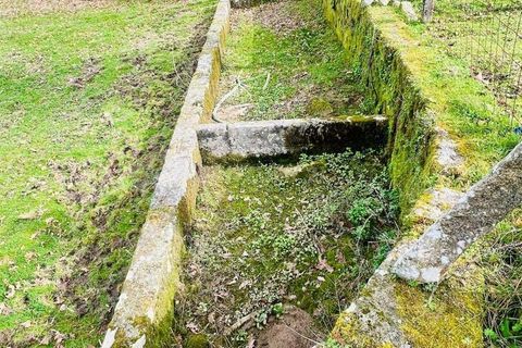Helårsgrund i Viseu, Viseu, Viseu - € 40.000 | Ref: C0203-02459 - foto 10