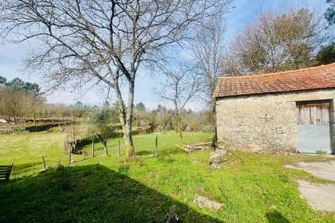 Helårsgrund i Viseu, Viseu, Viseu - € 40.000 | Ref: C0203-02459 - foto 11
