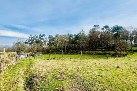Helårsgrund i Viseu, Viseu, Viseu - € 40.000 | Ref: C0203-02459 - foto 12