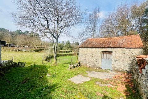 Helårsgrund i Viseu, Viseu, Viseu - € 40.000 | Ref: C0203-02459 - foto 13