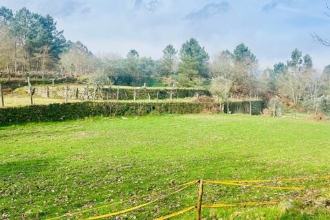 Helårsgrund i Viseu, Viseu, Viseu - € 40.000 | Ref: C0203-02459 - foto 14