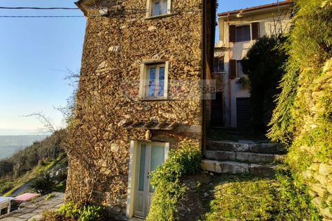 Villa i Pietrasanta, Lucca, Pietrasanta - € 180.000 | Ref: 1416 - foto 3