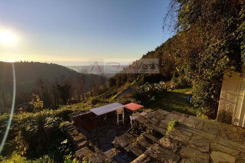 Villa i Pietrasanta, Lucca, Pietrasanta - € 180.000 | Ref: 1416 - foto 4