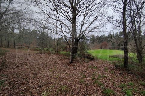 Helårsgrund i Ganfei, Viana do Castelo, Ganfei - € 18.000 | Ref: UNU-F1-12-6 - foto 1