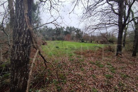 Helårsgrund i Ganfei, Viana do Castelo, Ganfei - € 18.000 | Ref: UNU-F1-12-6 - foto 2