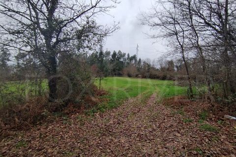 Helårsgrund i Ganfei, Viana do Castelo, Ganfei - € 18.000 | Ref: UNU-F1-12-6 - foto 3