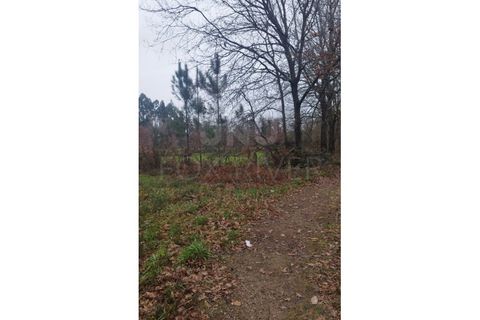 Helårsgrund i Ganfei, Viana do Castelo, Ganfei - € 18.000 | Ref: UNU-F1-12-6 - foto 5