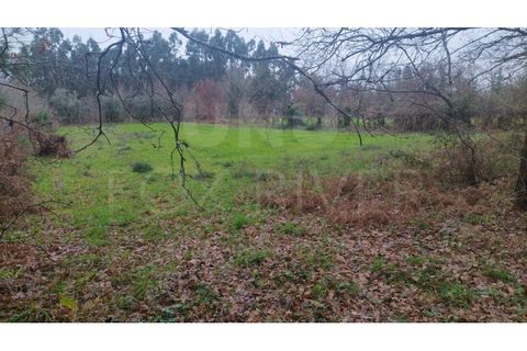 Helårsgrund i Ganfei, Viana do Castelo, Ganfei - € 18.000 | Ref: UNU-F1-12-6 - foto 6