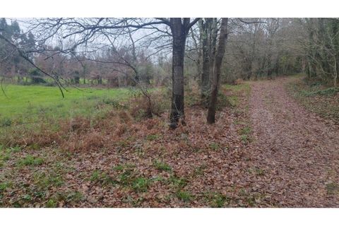 Helårsgrund i Ganfei, Viana do Castelo, Ganfei - € 18.000 | Ref: UNU-F1-12-6 - foto 7