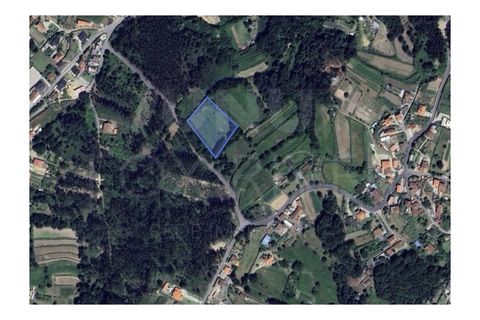 Helårsgrund i Ganfei, Viana do Castelo, Ganfei - € 18.000 | Ref: UNU-F1-12-6 - foto 8