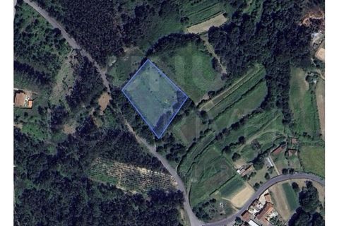 Helårsgrund i Ganfei, Viana do Castelo, Ganfei - € 18.000 | Ref: UNU-F1-12-6 - foto 9