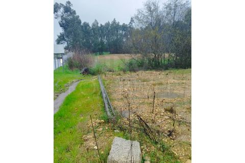 Helårsgrund i Gandra e Taiao, Viana do Castelo, Gandra e Taiao - € 57.000 | Ref: UNU-F1-12-5 - foto 2