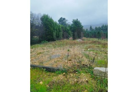 Helårsgrund i Gandra e Taiao, Viana do Castelo, Gandra e Taiao - € 57.000 | Ref: UNU-F1-12-5 - foto 3