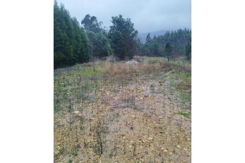 Helårsgrund i Gandra e Taiao, Viana do Castelo, Gandra e Taiao - € 57.000 | Ref: UNU-F1-12-5 - foto 4
