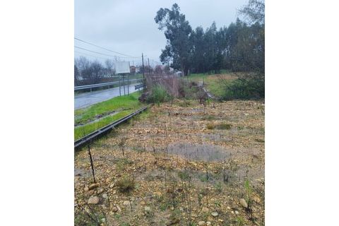 Helårsgrund i Gandra e Taiao, Viana do Castelo, Gandra e Taiao - € 57.000 | Ref: UNU-F1-12-5 - foto 5