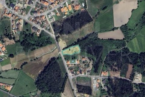Helårsgrund i Gandra e Taiao, Viana do Castelo, Gandra e Taiao - € 57.000 | Ref: UNU-F1-12-5 - foto 6