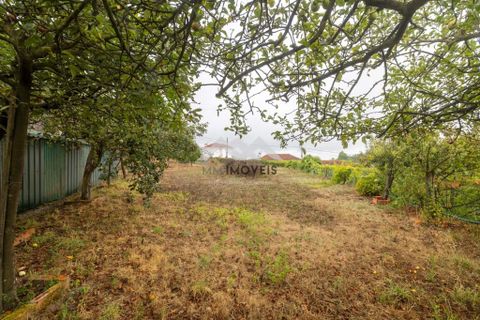 Farm hus i Santo Tirso, Porto, Santo Tirso - € 318.450 | Ref: MM330/25ST/CS(1) - foto 37