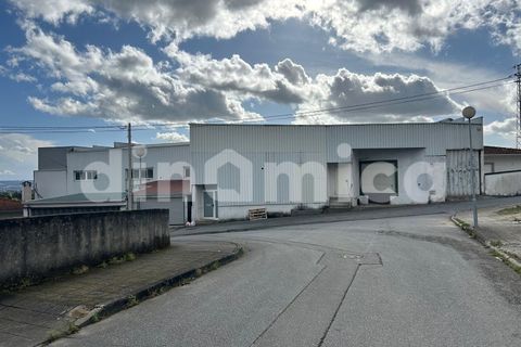 Erhvervsejendom i Ruivaes e Novais, Braga, Ruivaes e Novais - € 590.000 | Ref: 2096 - foto 6